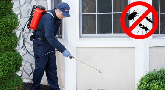 Tekkeköy Fare İlaçlama böcek ilaçlama ve haşere kontrolü — ilaclama-tr.com